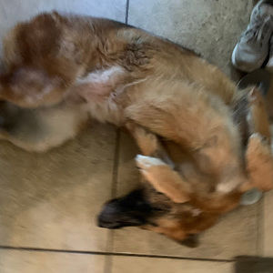 Meet your Posher, Kathy